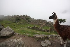 Arequipa - Cuzco